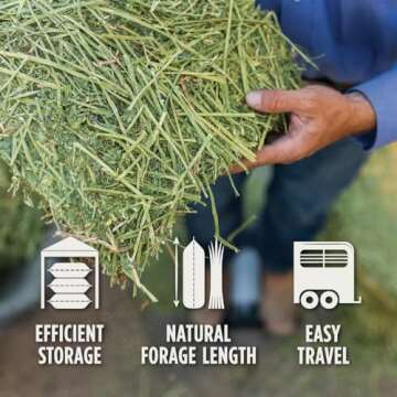 STANDLEE HAY COMPANY 1200-20021-0-0, 50 lb Timothy Bale, Red