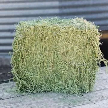 STANDLEE HAY COMPANY 1200-20021-0-0, 50 lb Timothy Bale, Red