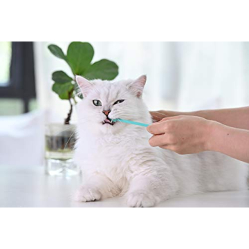 Soft Cat Toothbrush with 360-Degree Head for Dental Care