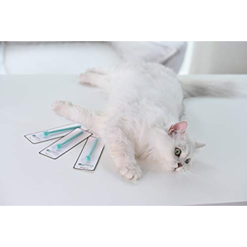 Soft Cat Toothbrush with 360-Degree Head for Dental Care