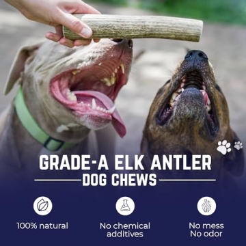Durable Elk Antlers for Dogs - Healthy & Odor-Free Chews