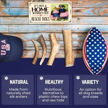 Durable Elk Antlers for Dogs - Healthy & Odor-Free Chews