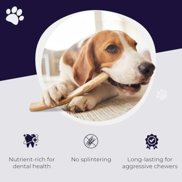 Durable Elk Antlers for Dogs - Healthy & Odor-Free Chews