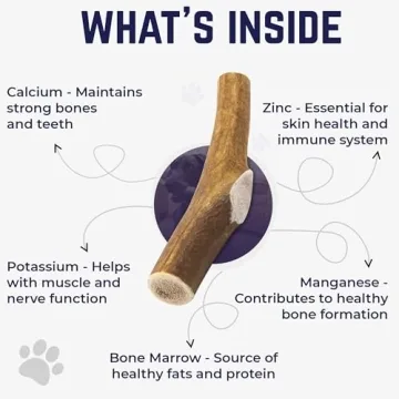 Durable Elk Antlers for Dogs - Healthy & Odor-Free Chews