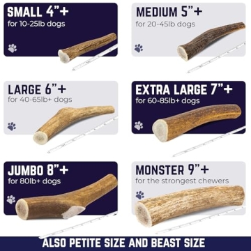 Durable Elk Antlers for Dogs - Healthy & Odor-Free Chews