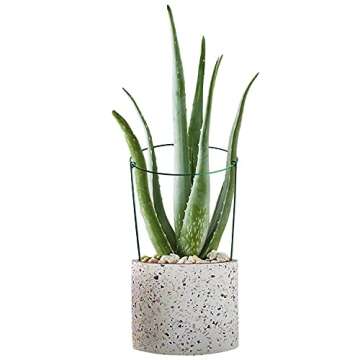 HiGift 3 Pack Peony Cages Support Stakes Ring for Garden, Round Plant Support for Outdoor (10" W x 17" H), Indoor Plant Cages Hoops Plant Rings for Tomatoes,Rose,Astilbes,Vine Indoor Potted Plants