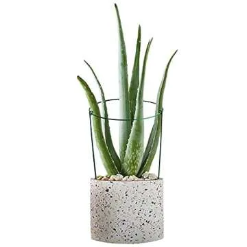 HiGift 3 Pack Peony Cages Support Stakes Ring for Garden, Round Plant Support for Outdoor (10" W x 17" H), Indoor Plant Cages Hoops Plant Rings for Tomatoes,Rose,Astilbes,Vine Indoor Potted Plants