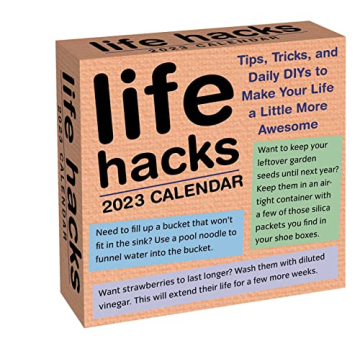 Life Hacks 2023 Day-to-Day Calendar: Tips, Tricks, and Daily DIYs to Make Your Life a Little More Aw...