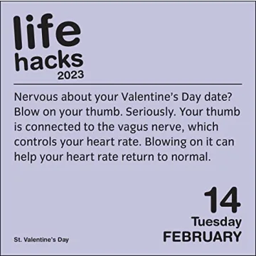 Life Hacks 2023 Calendar Amazing Daily Tips & Tricks