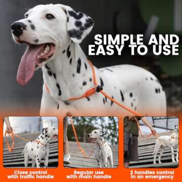 HOWGO Dog Slip Lead Dog Leash,Training Leash,Cinch Leash, No-Pull Slip Leash and Collar,Heavy Duty&D...