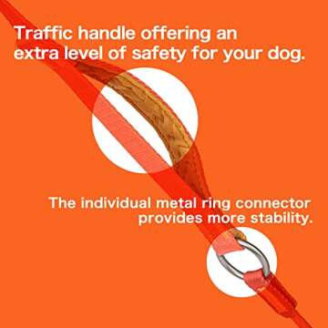 HOWGO Dog Slip Lead Dog Leash,Training Leash,Cinch Leash, No-Pull Slip Leash and Collar,Heavy Duty&Durable,Padded Handle,for All Breeds(Green, 5FT)