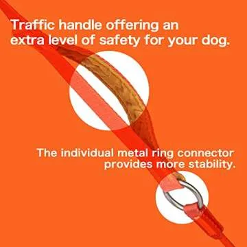 HOWGO Dog Slip Lead Dog Leash,Training Leash,Cinch Leash, No-Pull Slip Leash and Collar,Heavy Duty&Durable,Padded Handle,for All Breeds(Green, 5FT)