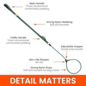 HOWGO Dog Slip Lead Dog Leash,Training Leash,Cinch Leash, No-Pull Slip Leash and Collar,Heavy Duty&Durable,Padded Handle,for All Breeds(Green, 5FT)