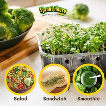 The Sprout House Broccoli Sprouting and Microgreen Seeds - Top Quality Organic Broccoli Sprouts, Non-GMO, High-Germination, Easy to Grow, Resealable Bag, Sulforaphane Rich Superfood,16oz