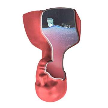 The Monster Makers Life Size Female "Alanna Head" 2.0 Head Armature for Mask Making and Clay Busts