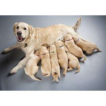 14PCS Puppy ID Collar Identification Soft Nylon Adjustable Breakaway Safety Whelping Litter Collars for Newborn Pets with Record Keeping Charts(M)