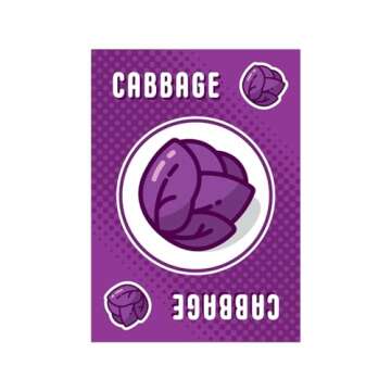 Point Salad - Award-Winning Family Card Game to Play