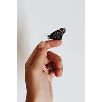 Ego Student Nets, Bug, Butterfly & Aquatic Netting, Wooden Easy & Safe for Kids, Get Kids Outdoors Again, Science Nets Available in 3 Types