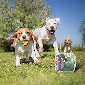 Weewooday 6 Pcs Mini Clear Toiletry Makeup Bag Small PVC Travel Bag Waterproof Plastic Cosmetic Bag with Zipper Portable Cosmetic Makeup Bag for Vacation Bathroom Organizing(Transparent)