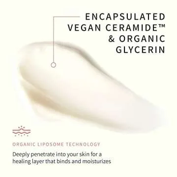 PURE'AM Authentic Barrier Cream - Korean Moisturizer For Dry & Sensitive Skin & Acne, 2.5 Fl Oz, 75ml, Vegan