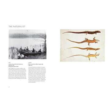 The Art of Beatrix Potter: Sketches, Paintings, and Illustrations