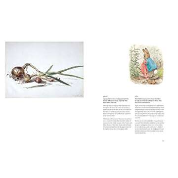 The Art of Beatrix Potter: Sketches, Paintings, and Illustrations