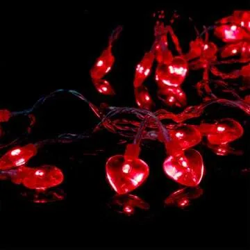 Luditek 14.7ft Heart-Shaped String Lights for Events