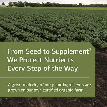 Standard Process Zypan - Digestive Health Support Supplement - HCI Supplement with Pancreatin, Betaine Hydrochloride & Pepsin - Support Macronutrient Digestion - 90 Tablets