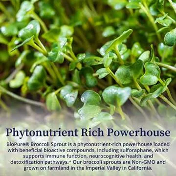 BioPure Broccoli Sprout Supplement – Phytonutrient-Rich Powerhouse Loaded with Bioactive Compounds, Including Sulforaphane, for Immune Function, Brain Health, Gut Balance, & Detox – 90 Capsules