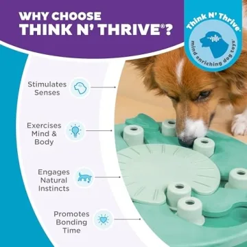 Outward Hound Nina Ottosson Dog Puzzle Level 3 Advanced