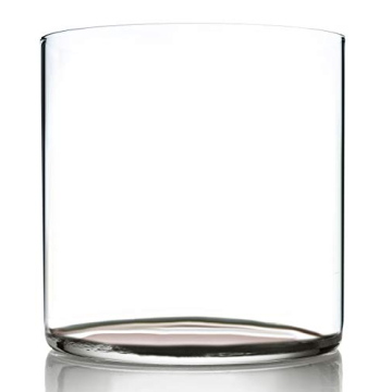 Amehla Ultra Thin Cocktail Glasses - Stylish and Elegant