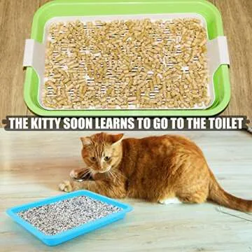 10pcs Colorful Kitten Litter Boxes for Easy Cleanup