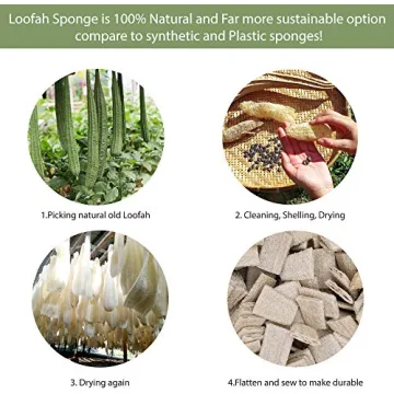 Eco-Friendly 6pcs Kitchen Brush Set – Hello Nature