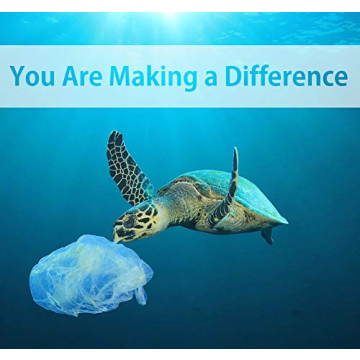 Eco-Friendly 6pcs Kitchen Brush Set – Hello Nature