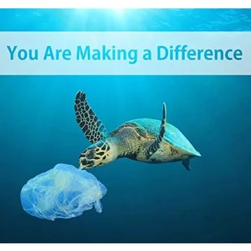 Eco-Friendly 6pcs Kitchen Brush Set – Hello Nature