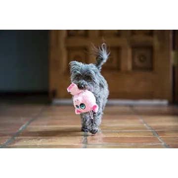 Multipet Knobby Noggins Chicken Dog Toy for Dogs