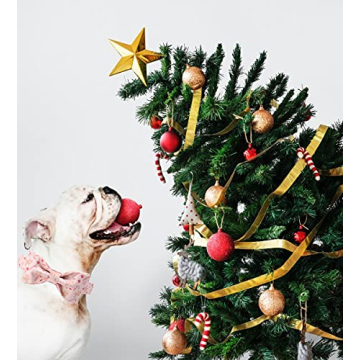 Adjustable Dog Collar with Bowtie for Medium Dogs