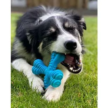 Nylabone Comfort Hold X-Bone Power Chew Toy for Dogs, Dog Toys for Aggressive Chewers, Beef Flavor, Large - Up to 50 lbs, 1 Count