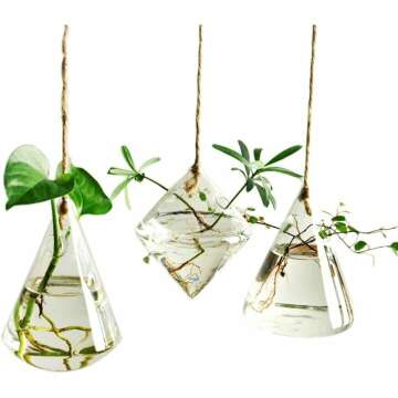 Ivolador Hanging Glass Terrarium for Hydroponic Plants