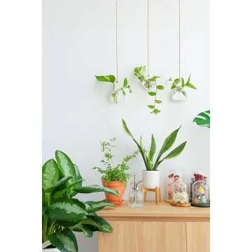 Ivolador Hanging Glass Terrarium for Hydroponic Plants