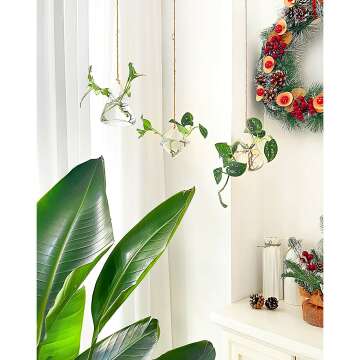 Ivolador Hanging Glass Terrarium for Hydroponic Plants