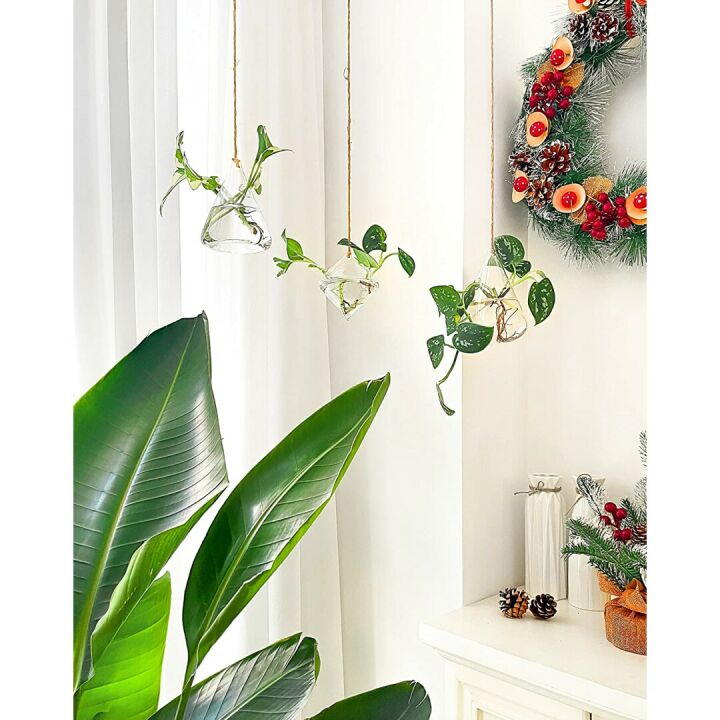 Ivolador Hanging Glass Terrarium for Hydroponic Plants