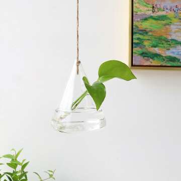 Ivolador Hanging Glass Terrarium for Hydroponic Plants