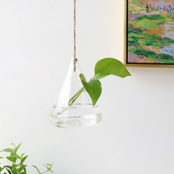 Ivolador Hanging Glass Terrarium for Hydroponic Plants