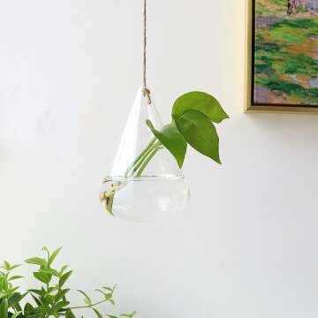 Ivolador Hanging Glass Terrarium for Hydroponic Plants
