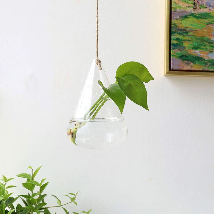 Ivolador Hanging Glass Terrarium for Hydroponic Plants
