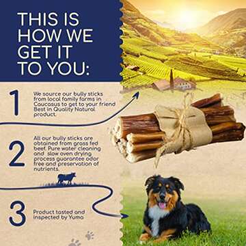 YUMA'S Natural Bully Sticks for Dogs for Intense Chewers Digestible Dog Treats Made of 100% Beef - Dog Bully Sticks for Cleaner Teeth- Long Lasting Dog Chews (6 inch Braided, Pack of 10)