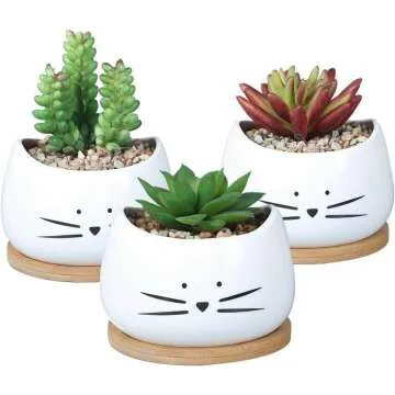 Cute Cat Ceramic Succulent Planter Pots Set of 3