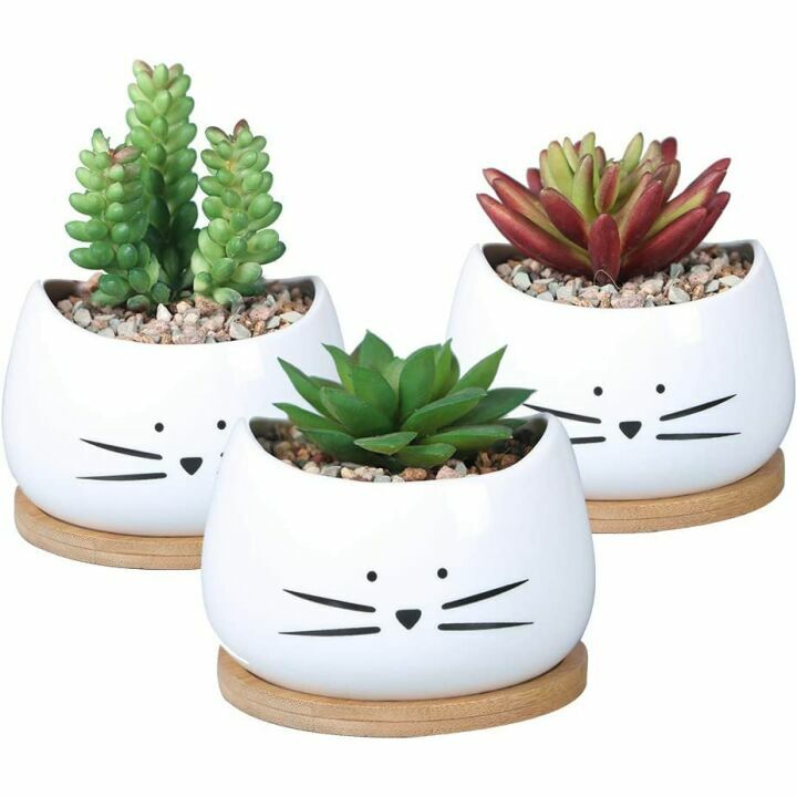 Cute Cat Ceramic Succulent Planter Pots Set of 3