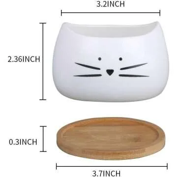 Cute Cat Ceramic Succulent Planter Pots Set of 3